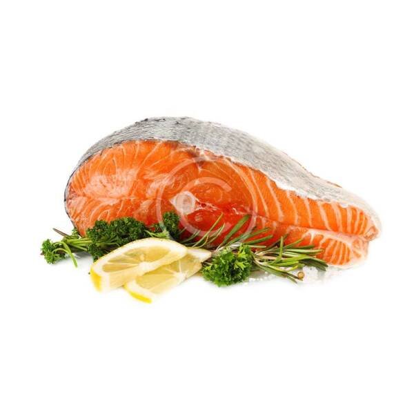 Giant salmon