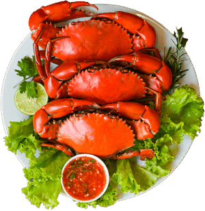 Fresh Crab Plate