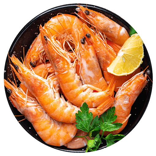 Norwegian Lobster - Image 2